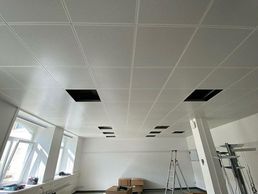 image de Brunel Faux-Plafonds