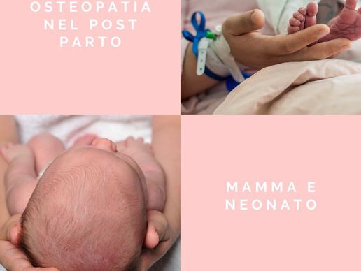 picture of Osteopatia Ticino - Ines Espirito Santo