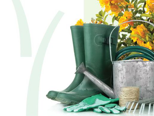 picture of JardinSuisse Ticino