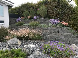 picture of Bächler + Güttinger AG