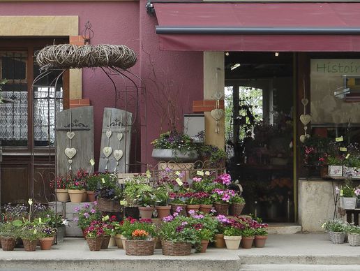 image de Histoire de Fleurs