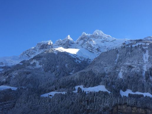 Bild zu Gonnet Sports