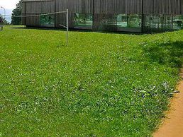 picture of Piscine de Bassins