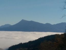 immagine di RF Taxi.ch GmbH