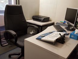 immagine di Ingold Luca