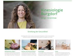 Bild zu Longwitz Organisation & Consulting - Webdesign Burgdorf