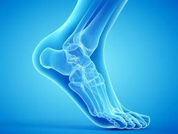 Bild zu Studio di Podologia PodoArs