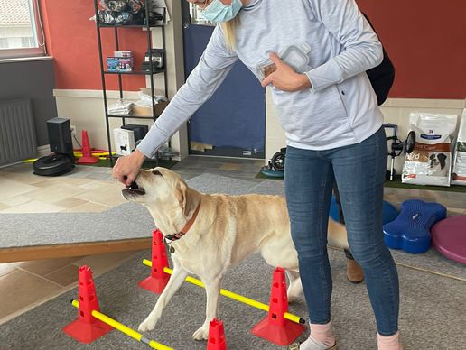 Bild zu Physiovet Vaud Sarl