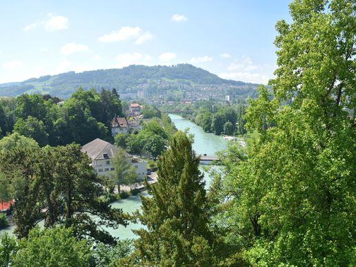 immagine di Rosenzweig Ulrich