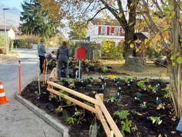 picture of Arbre & Co Sàrl