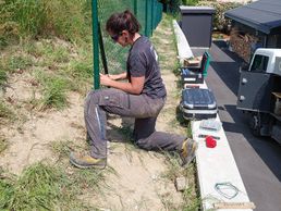 picture of Arbre & Co Sàrl