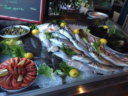 image de Novameditpesca Sàrl