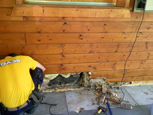 image de GA36 Gini Pascal SA