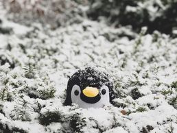 picture of Pengin and Friends AG