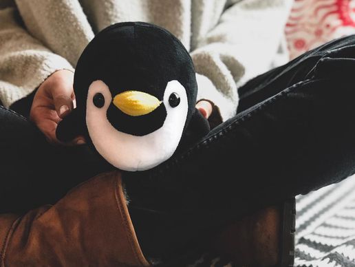 picture of Pengin and Friends AG