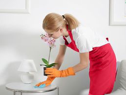 image de Optimal Reinigungsfirma