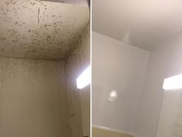 picture of Peinture Express