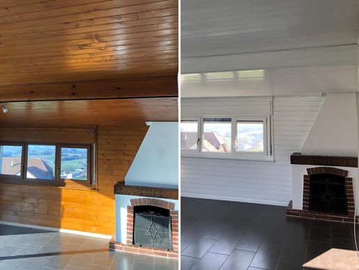 picture of Peinture Express