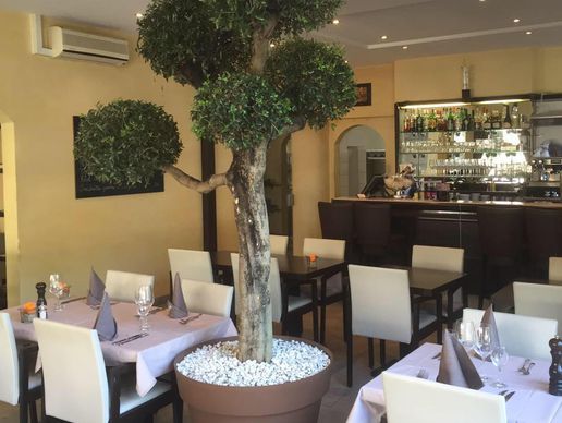 picture of Trattoria della Piazza