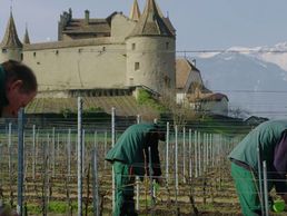 Bild zu Henri Badoux SA