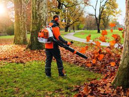 immagine di AMS Atelier Mécanique