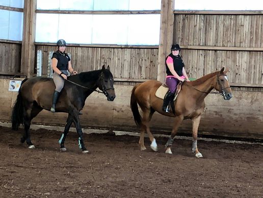 Bild zu Ecole d'Equitation de Granges