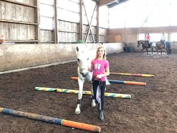 Bild zu Ecole d'Equitation de Granges