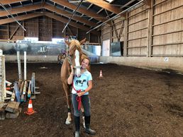 Bild zu Ecole d'Equitation de Granges