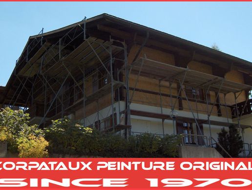 immagine di Corpataux Peinture Original