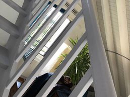 immagine di Arc en Ciel Peinture