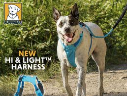 picture of PAT'A PATTES.CH