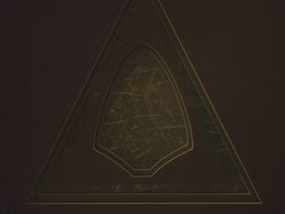 Bild zu Feger Dominik