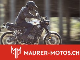Bild zu Maurer Motos AG