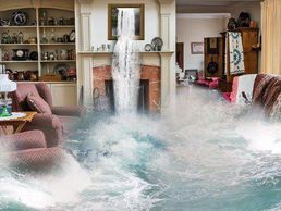 picture of Pluri-Interventions