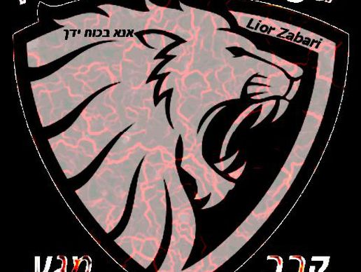 immagine di Krav Maga Zabari Lior