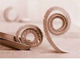 immagine di Jemmely René Sàrl