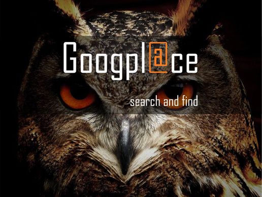 picture of Googplace GmbH