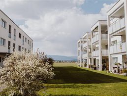 Bild zu immoschwab ag