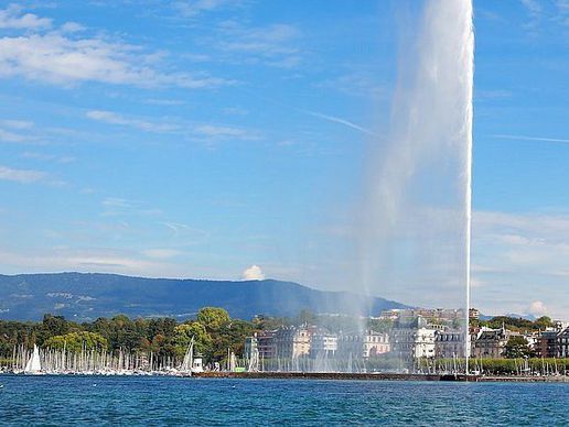 image de Barzilay Services