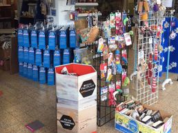 Bild zu Isabelle Braillard