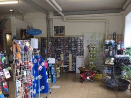 Bild zu Isabelle Braillard