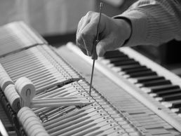 immagine di Klaviertechnik Tobehn Meisterwerkstatt