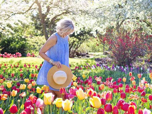 picture of Associazione Ticinese Terza Età- ATTE