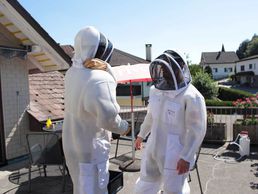 picture of Wespennest Entfernen Kanton St. Gallen