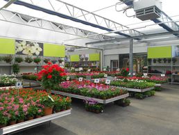 immagine di Aebi-Kaderli Garten-Center AG