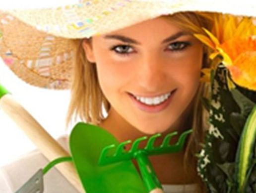 immagine di Aebi-Kaderli Garten-Center AG