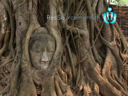 immagine di Julien Pralong