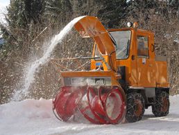 picture of Rey Frédéric