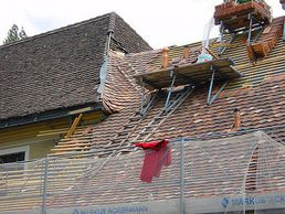 immagine di Zinsli Albert Dächer und Fassaden