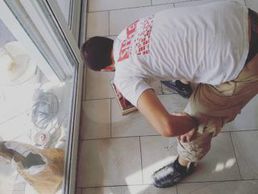 picture of SHALA PIASTRELLE